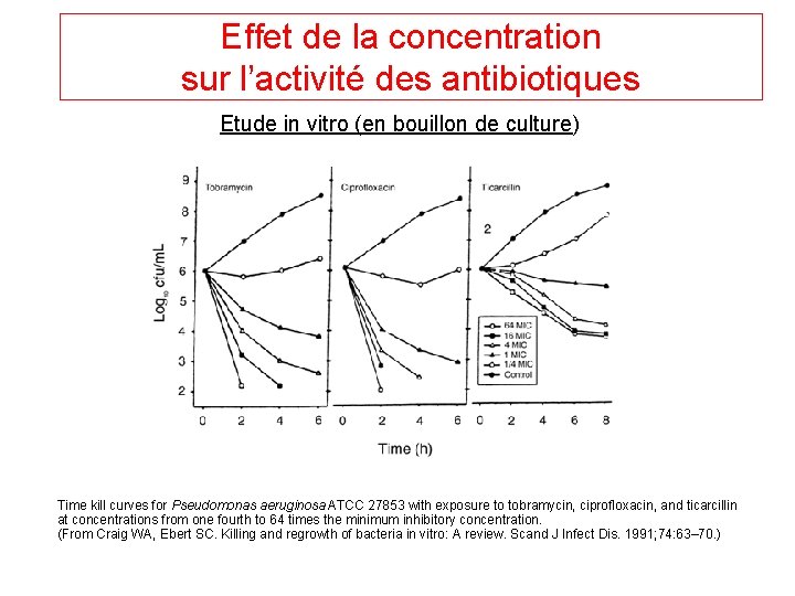 Effet de la concentration sur l’activité des antibiotiques Etude in vitro (en bouillon de