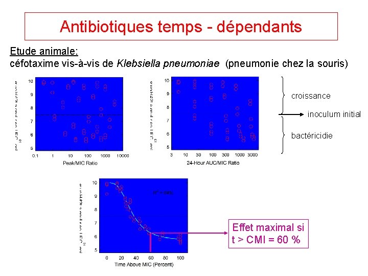 Antibiotiques temps - dépendants Etude animale: céfotaxime vis-à-vis de Klebsiella pneumoniae (pneumonie chez la