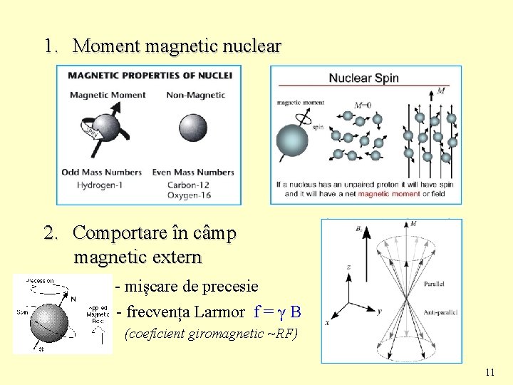 1. Moment magnetic nuclear 2. Comportare în câmp magnetic extern - mișcare de precesie