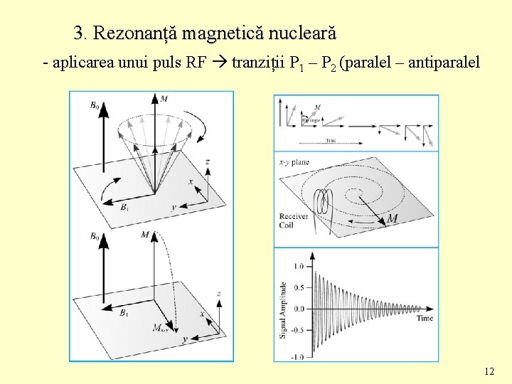 3. Rezonanță magnetică nucleară - aplicarea unui puls RF tranziții P 1 – P