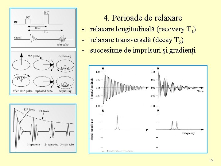 4. Perioade de relaxare - relaxare longitudinală (recovery T 1) - relaxare transversală (decay