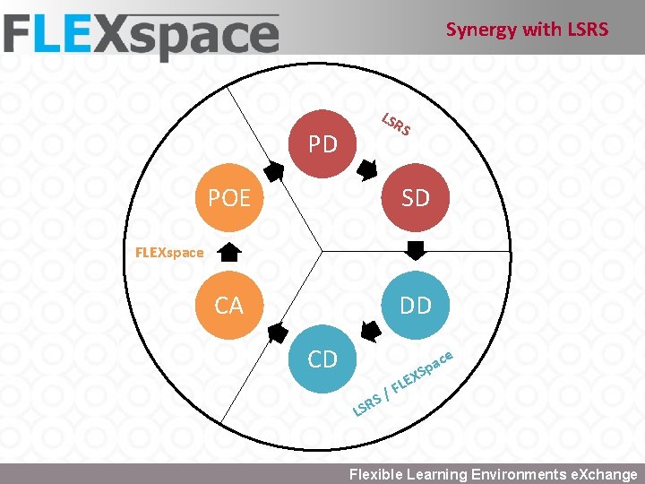 Synergy with LSRS PD LSR S POE SD CA DD FLEXspace CD X S