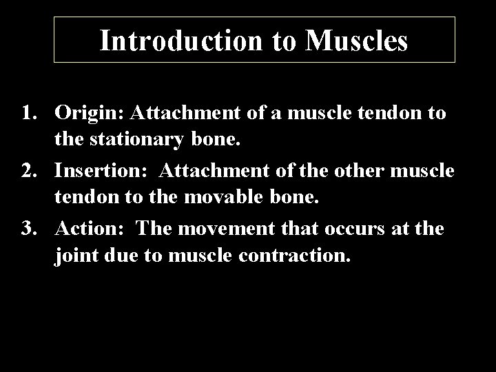 Introduction to Muscles 1. Origin: Attachment of a muscle tendon to the stationary bone.