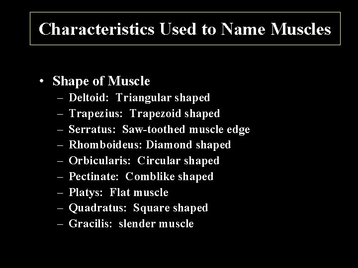 Characteristics Used to Name Muscles • Shape of Muscle – – – – –
