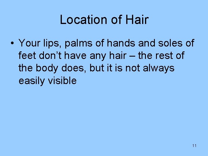 Location of Hair • Your lips, palms of hands and soles of feet don’t