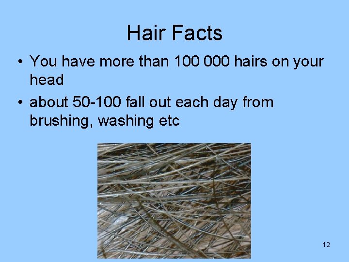 Hair Facts • You have more than 100 000 hairs on your head •