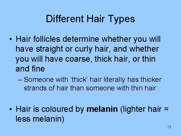 Different Hair Types • Hair follicles determine whether you will have straight or curly