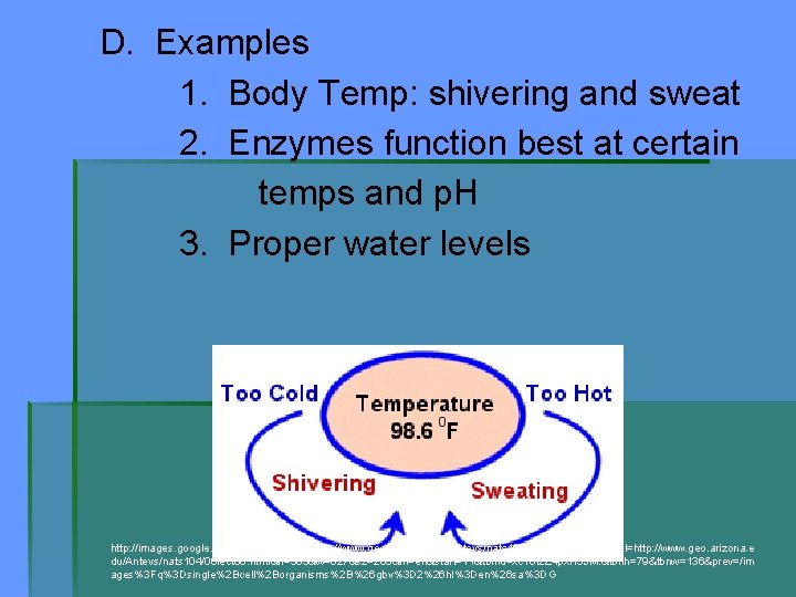 D. Examples 1. Body Temp: shivering and sweat 2. Enzymes function best at certain