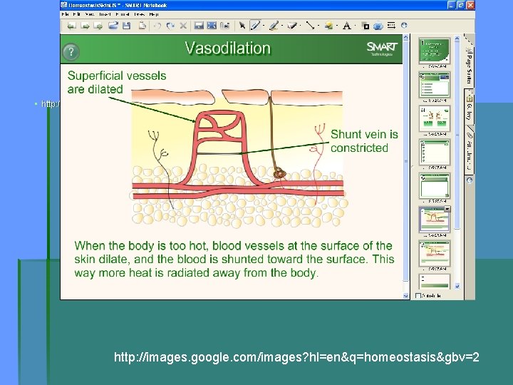 ▪ http: //images. google. com/images? hl=en&q=homeostasis&gbv=2 