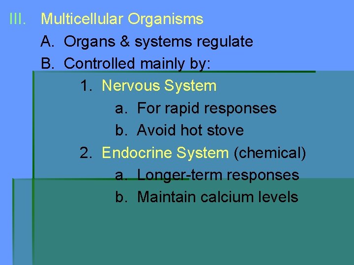 III. Multicellular Organisms A. Organs & systems regulate B. Controlled mainly by: 1. Nervous