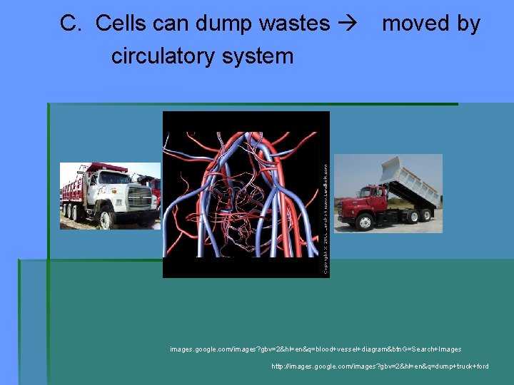 C. Cells can dump wastes circulatory system moved by images. google. com/images? gbv=2&hl=en&q=blood+vessel+diagram&btn. G=Search+Images