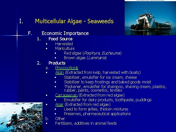 I. Multicellular Algae - Seaweeds F. 1. 2. Economic Importance • • Food Source