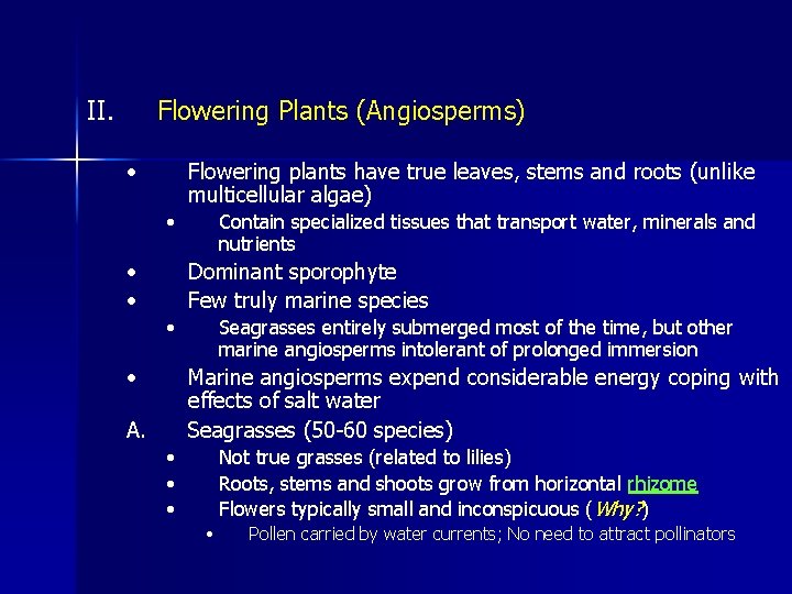 II. Flowering Plants (Angiosperms) • Flowering plants have true leaves, stems and roots (unlike