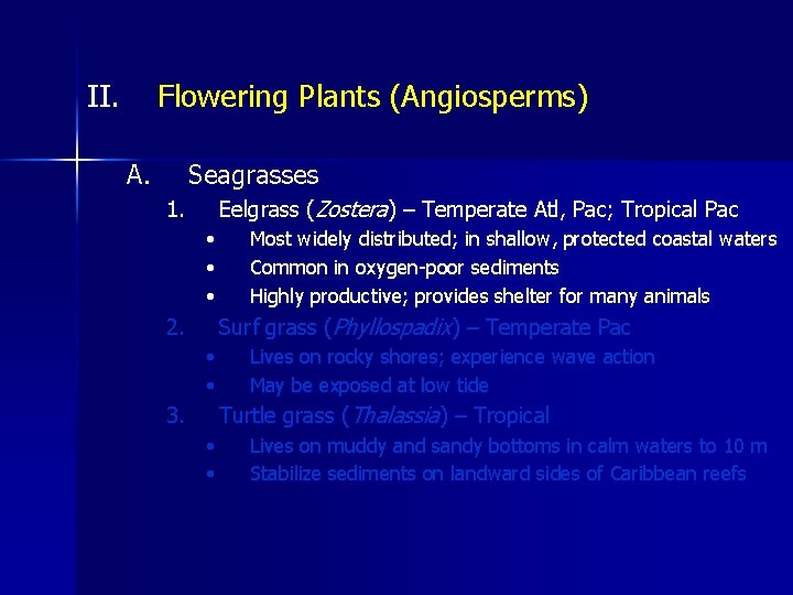 II. Flowering Plants (Angiosperms) A. Seagrasses Eelgrass (Zostera) – Temperate Atl, Pac; Tropical Pac