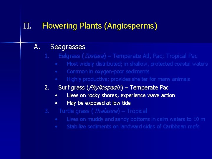 II. Flowering Plants (Angiosperms) A. Seagrasses Eelgrass (Zostera) – Temperate Atl, Pac; Tropical Pac