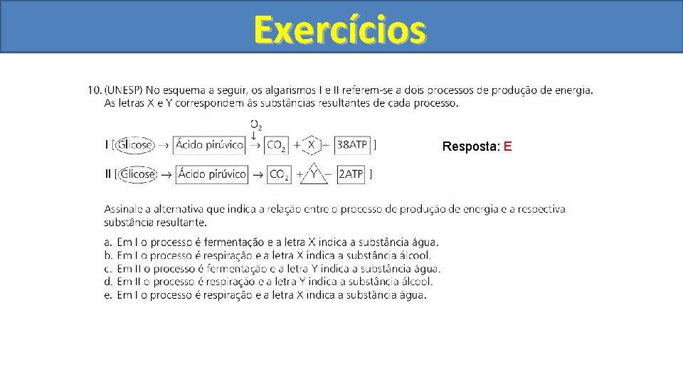 Exercícios Resposta: E 