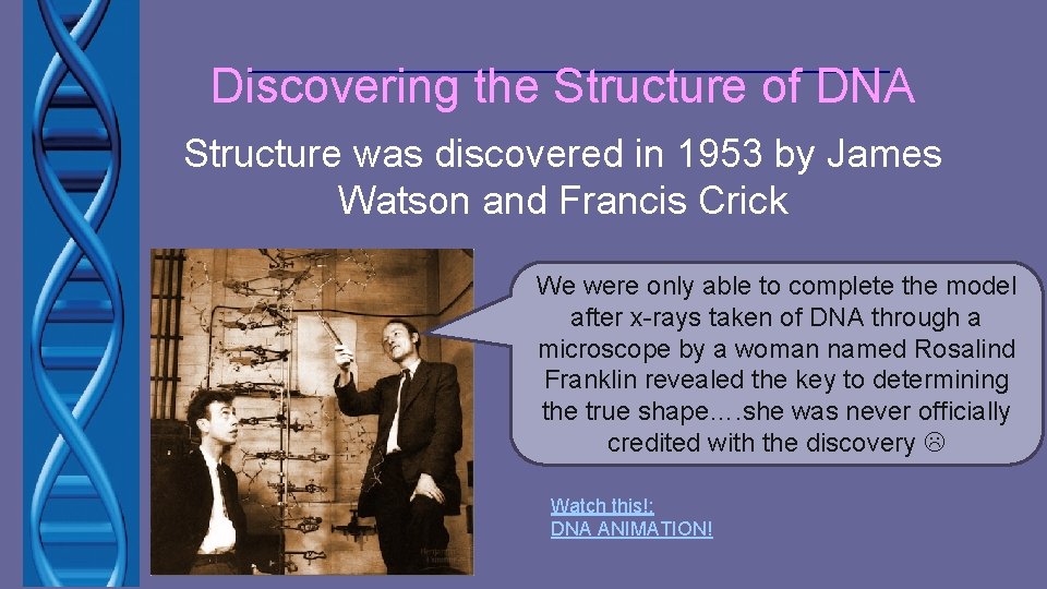Discovering the Structure of DNA Structure was discovered in 1953 by James Watson and