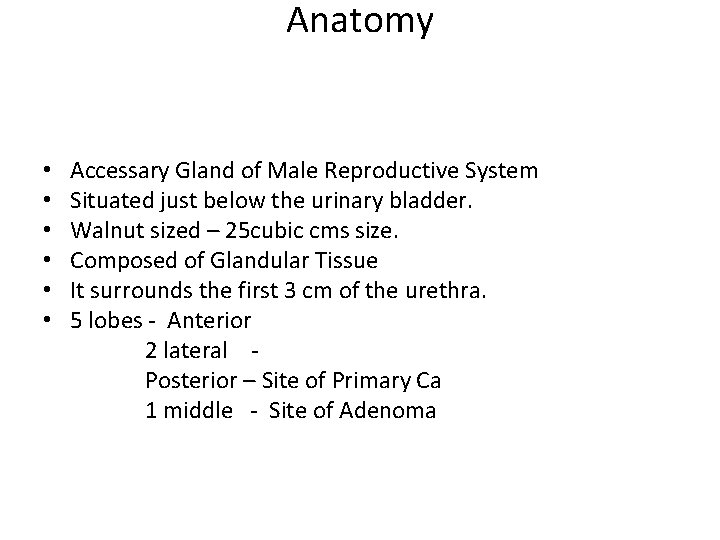 Anatomy • • • Accessary Gland of Male Reproductive System Situated just below the