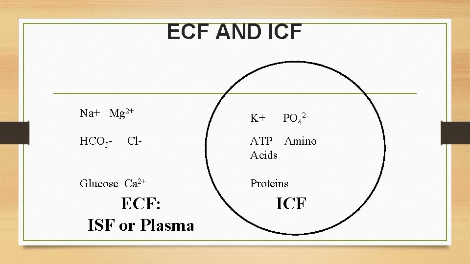 ECF AND ICF Na+ Mg 2+ K+ HCO 3 - ATP Amino Acids Cl- ECF AND ICF Na+ Mg 2+ K+ HCO 3 - ATP Amino Acids Cl-