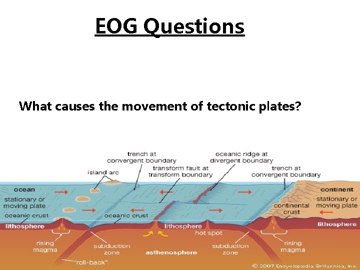 EOG Questions What causes the movement of tectonic plates? 