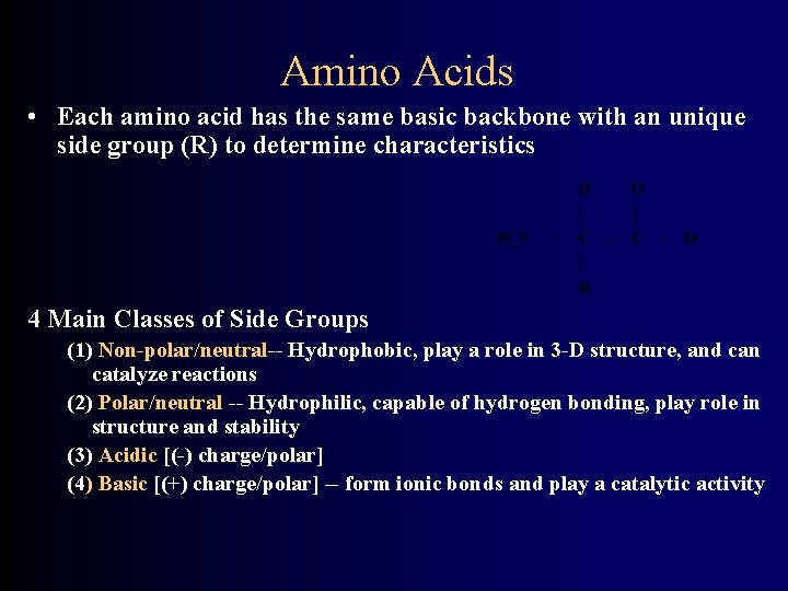 Amino Acids • Each amino acid has the same basic backbone with an unique