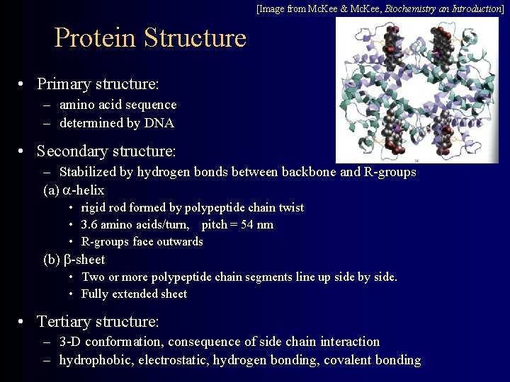 [Image from Mc. Kee & Mc. Kee, Biochemistry an Introduction] Protein Structure • Primary