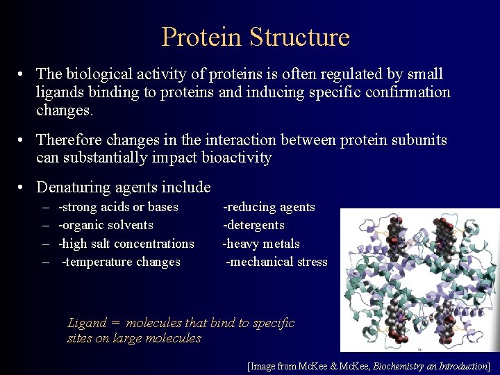 Protein Structure • The biological activity of proteins is often regulated by small ligands
