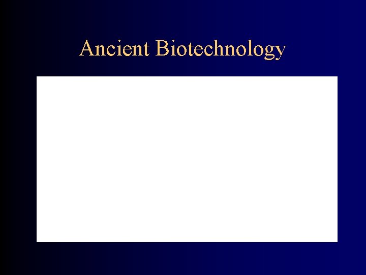 Ancient Biotechnology 