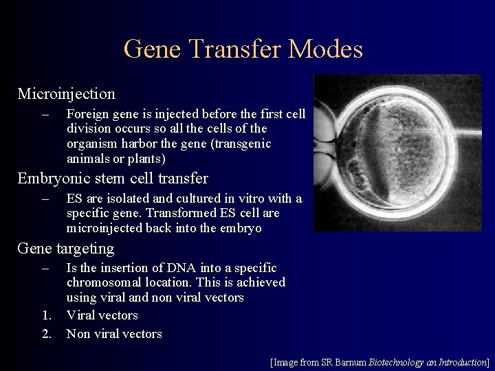 Gene Transfer Modes Microinjection – Foreign gene is injected before the first cell division