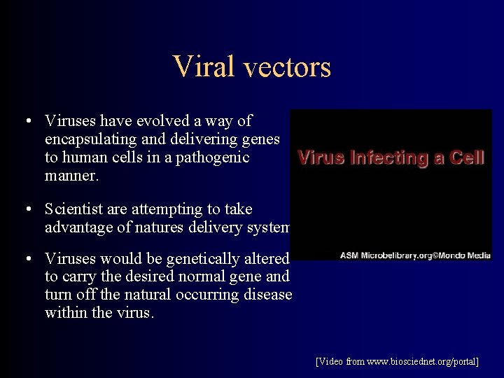 Viral vectors • Viruses have evolved a way of encapsulating and delivering genes to