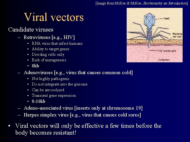 [Image from Mc. Kee & Mc. Kee, Biochemistry an Introduction] Viral vectors Candidate viruses