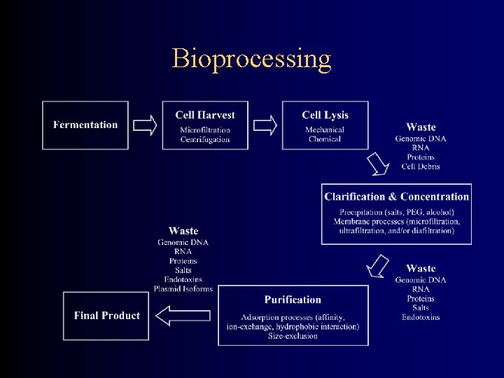 Bioprocessing 