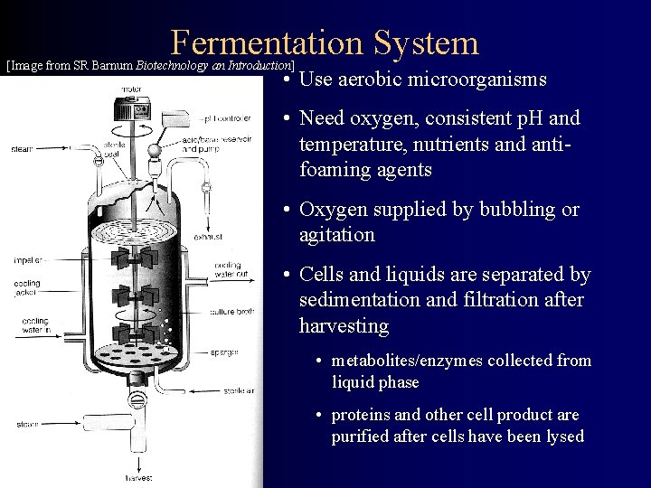 Fermentation System [Image from SR Barnum Biotechnology an Introduction] • Use aerobic microorganisms •