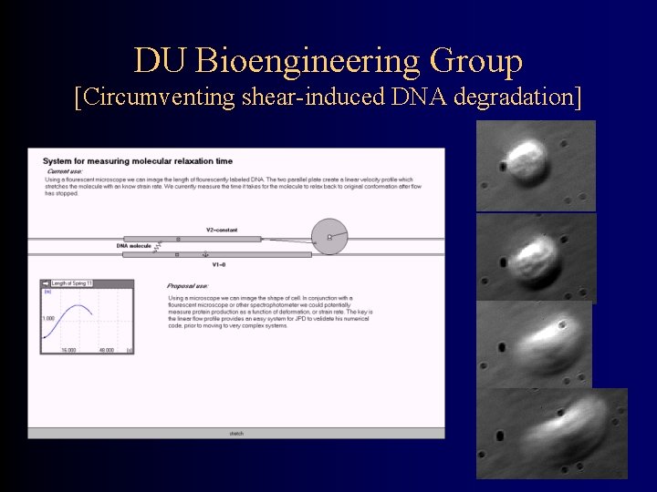 DU Bioengineering Group [Circumventing shear-induced DNA degradation] 