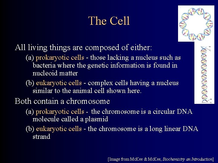 The Cell All living things are composed of either: (a) prokaryotic cells - those