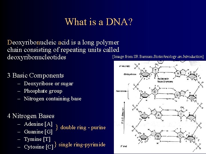 What is a DNA? Deoxyribonucleic acid is a long polymer chain consisting of repeating