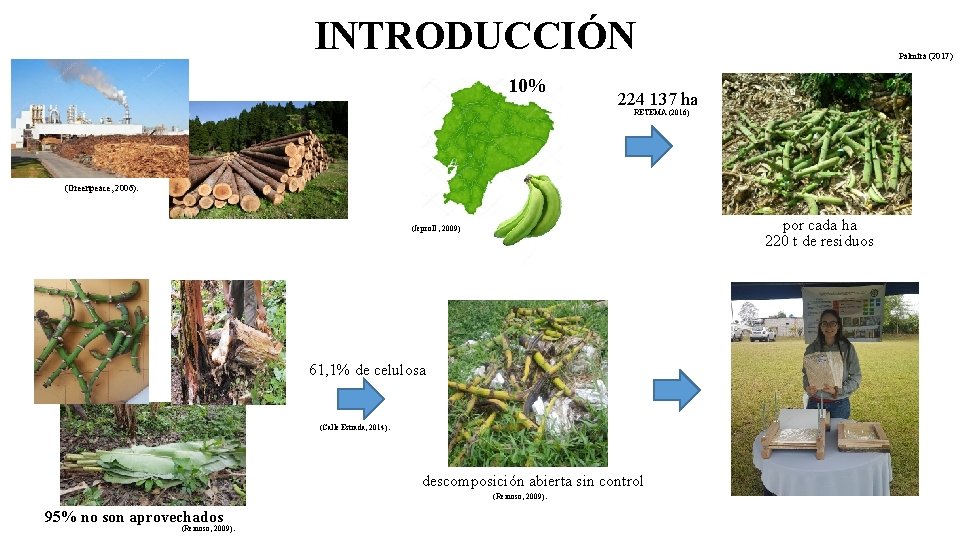 INTRODUCCIÓN 10% Palmira (2017) 224 137 ha RETEMA (2016) (Greenpeace, 2006). por cada ha