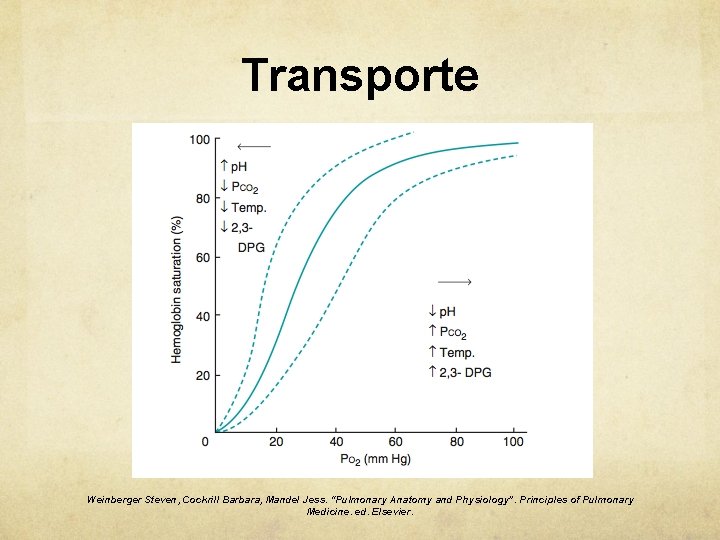 Transporte Weinberger Steven, Cockrill Barbara, Mandel Jess. “Pulmonary Anatomy and Physiology”. Principles of Pulmonary