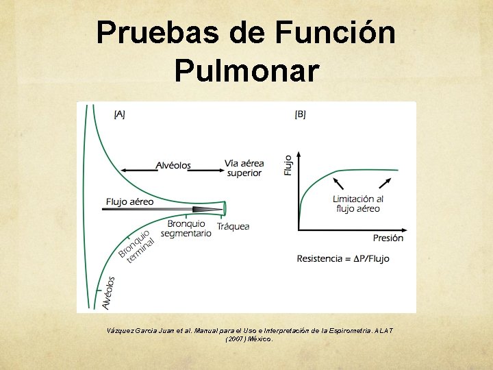 Pruebas de Función Pulmonar Vázquez Garcia Juan et al. Manual para el Uso e