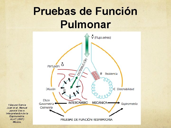 Pruebas de Función Pulmonar Vázquez Garcia Juan et al. Manual para el Uso e