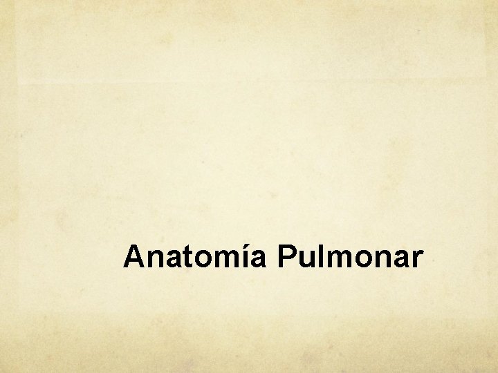 Anatomía Pulmonar 