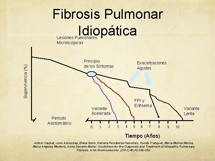 Fibrosis Pulmonar Idiopática Lesiones Pulmonares Microscópicas Supervivencia (%) Principio de los Síntomas Exacerbaciones Agudas