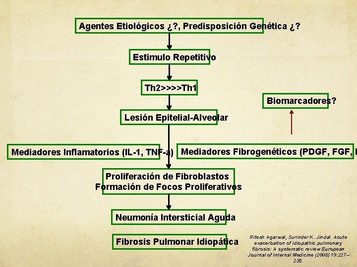 Agentes Etiológicos ¿? , Predisposición Genética ¿? Estimulo Repetitivo Th 2>>>>Th 1 Biomarcadores? Lesión