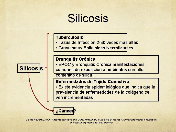 Silicosis Tuberculosis • Tazas de Infección 2 -30 veces más altas • Granulomas Epiteloides