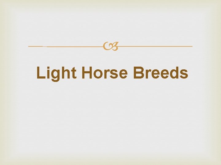  Light Horse Breeds 