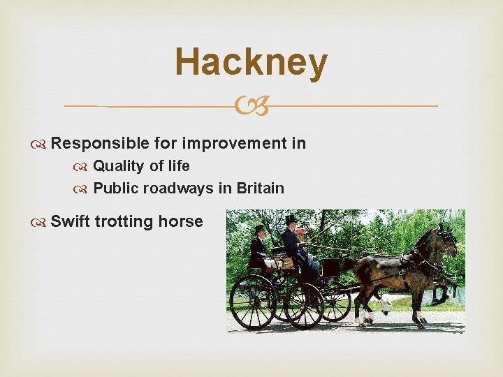 Hackney Responsible for improvement in Quality of life Public roadways in Britain Swift trotting