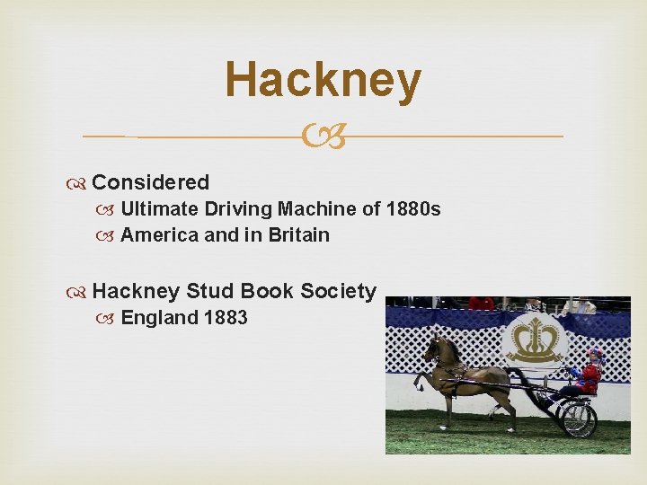 Hackney Considered Ultimate Driving Machine of 1880 s America and in Britain Hackney Stud