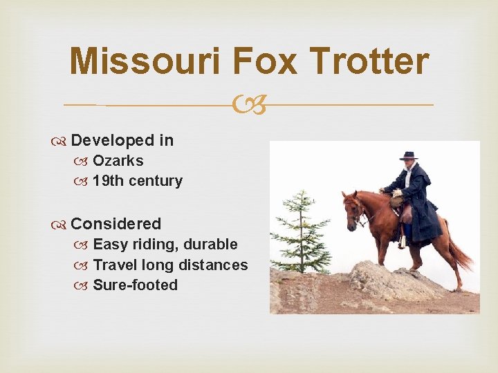 Missouri Fox Trotter Developed in Ozarks 19 th century Considered Easy riding, durable Travel