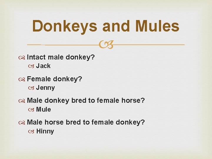 Donkeys and Mules Intact male donkey? Jack Female donkey? Jenny Male donkey bred to