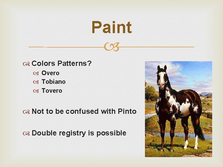 Paint Colors Patterns? Overo Tobiano Tovero Not to be confused with Pinto Double registry
